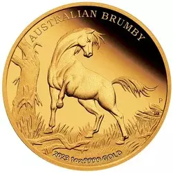 Złota Moneta Australian Brumby Proof 2023 1 uncja LIMITOWANA
