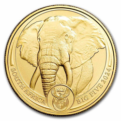 Złota Moneta Big Five Elephant 1 uncja 2024 NOWOŚĆ