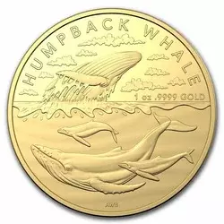Złota Moneta Humpback Whale 2023 1 uncja LIMITOWANA