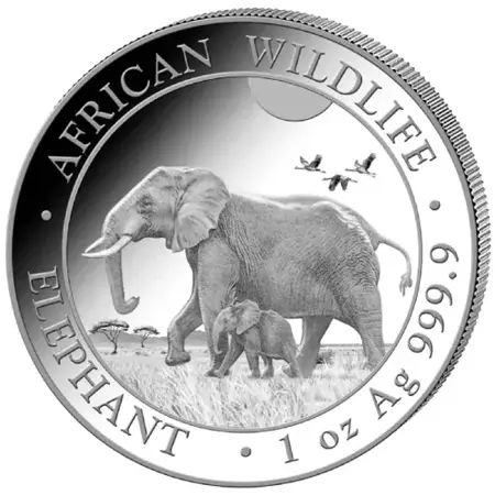 Srebrna Moneta Somalijski Słoń 1 uncja 2022r 24h