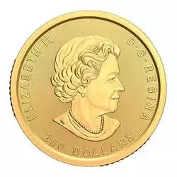 Złota Moneta Gorączka Złota Klondike 1 uncja