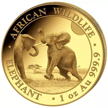 Złota Moneta Somalijski Słoń 1 uncja 2024 24h